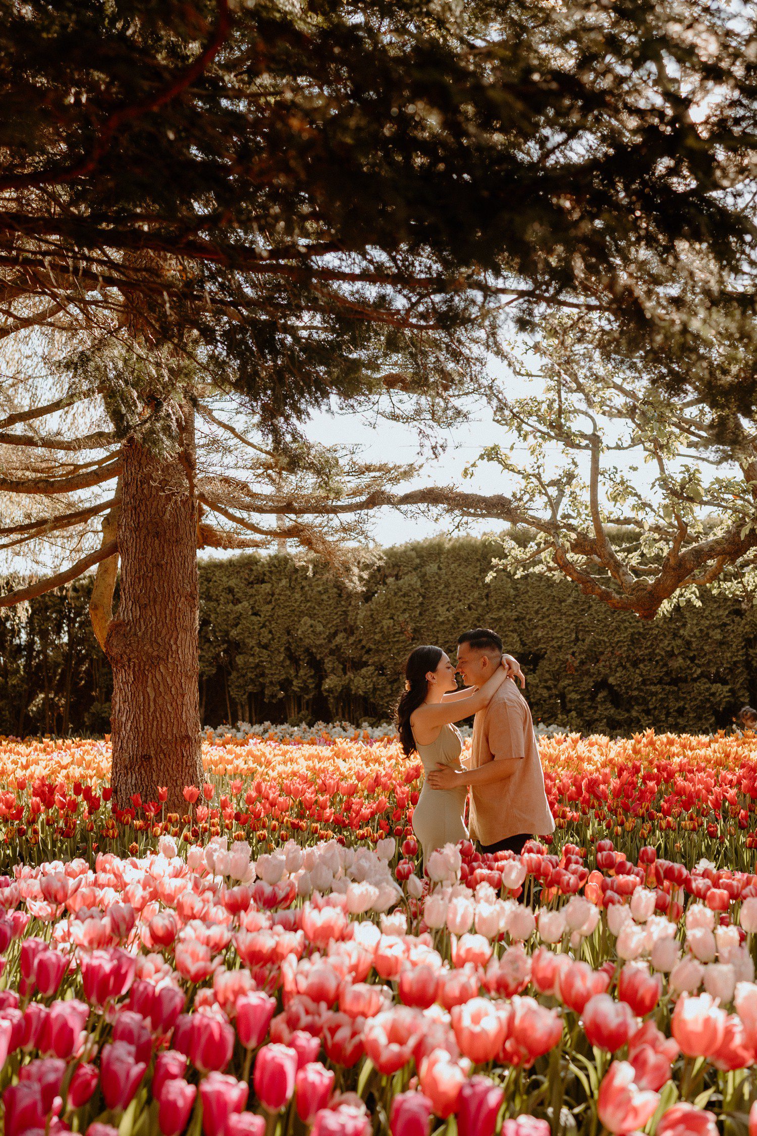 Tulip Garden Engagement Photos