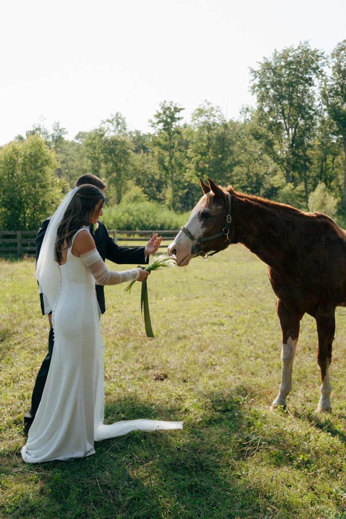 bride and groom petting the horses