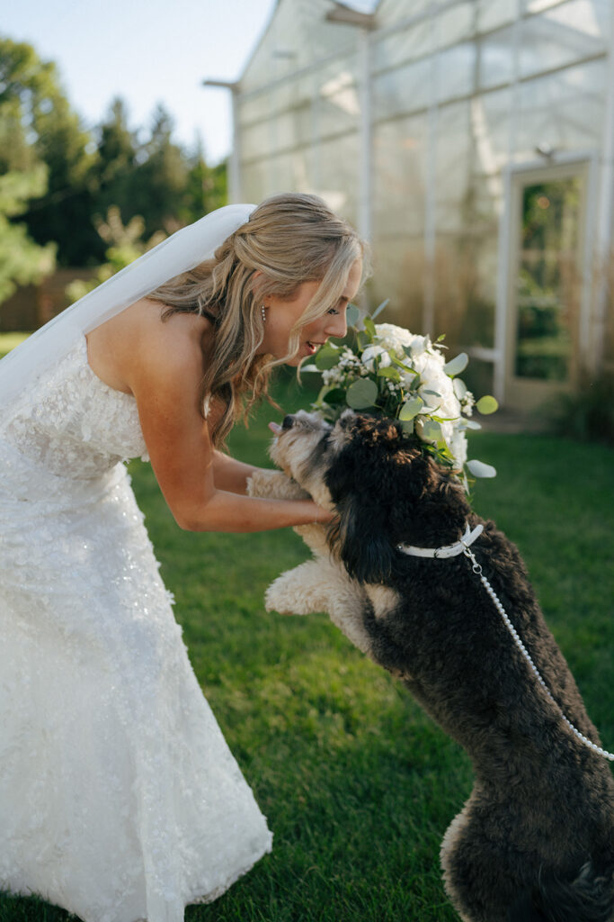 bride with her dog at the timeless wedding