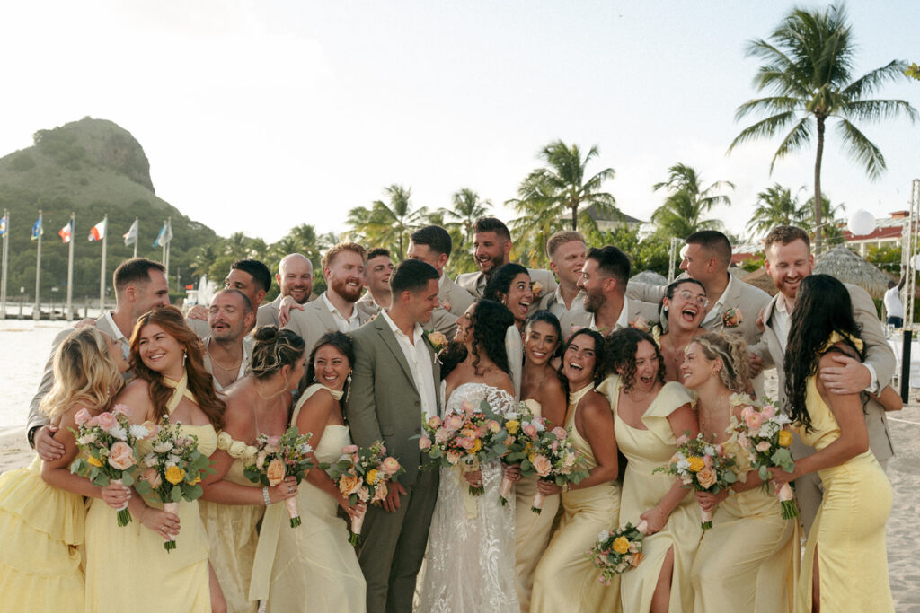 picture of the bride and groom with their bridesmaids and groomsmen